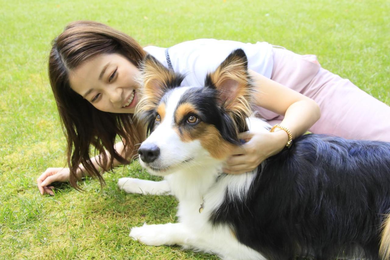 Yutorelo Tateshina Hotel With Dogs Chino Zewnętrze zdjęcie